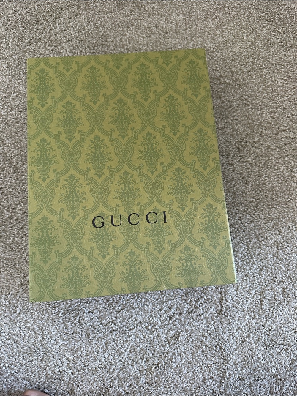 Gucci Patterned Box in Olive Green